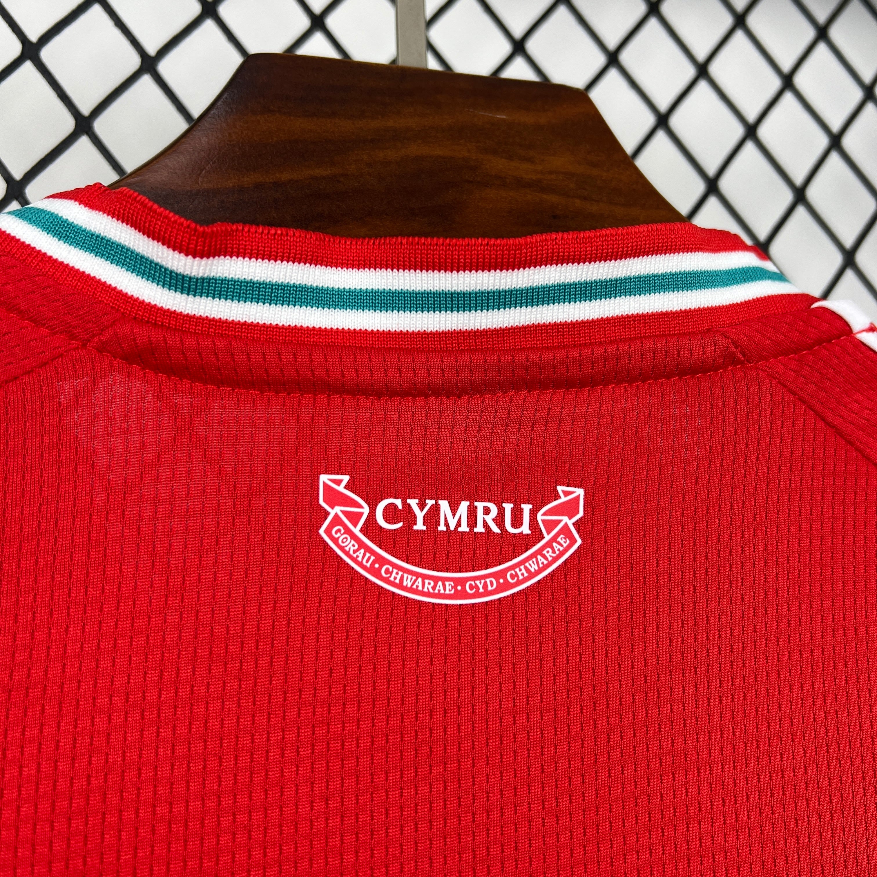 Wales 2026 Home - Fan Version