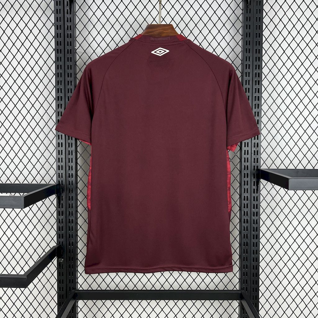 CA Lanus 2025 Home - Fan Version