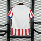 Paraguay 2026 Home - Fan Version