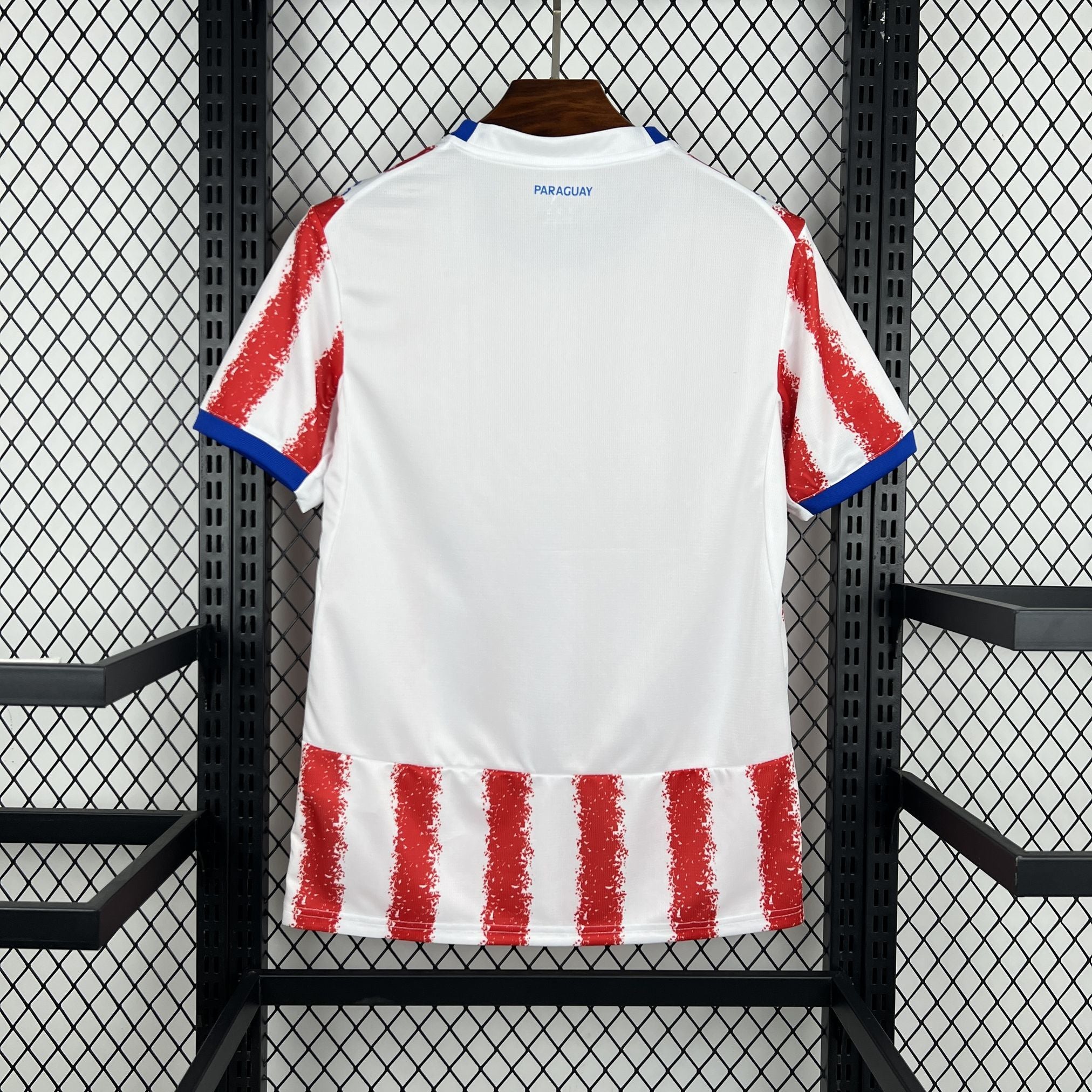 Paraguay 2026 Home - Fan Version