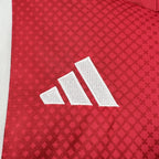 Ajax 2025/26 Home - Fan Version
