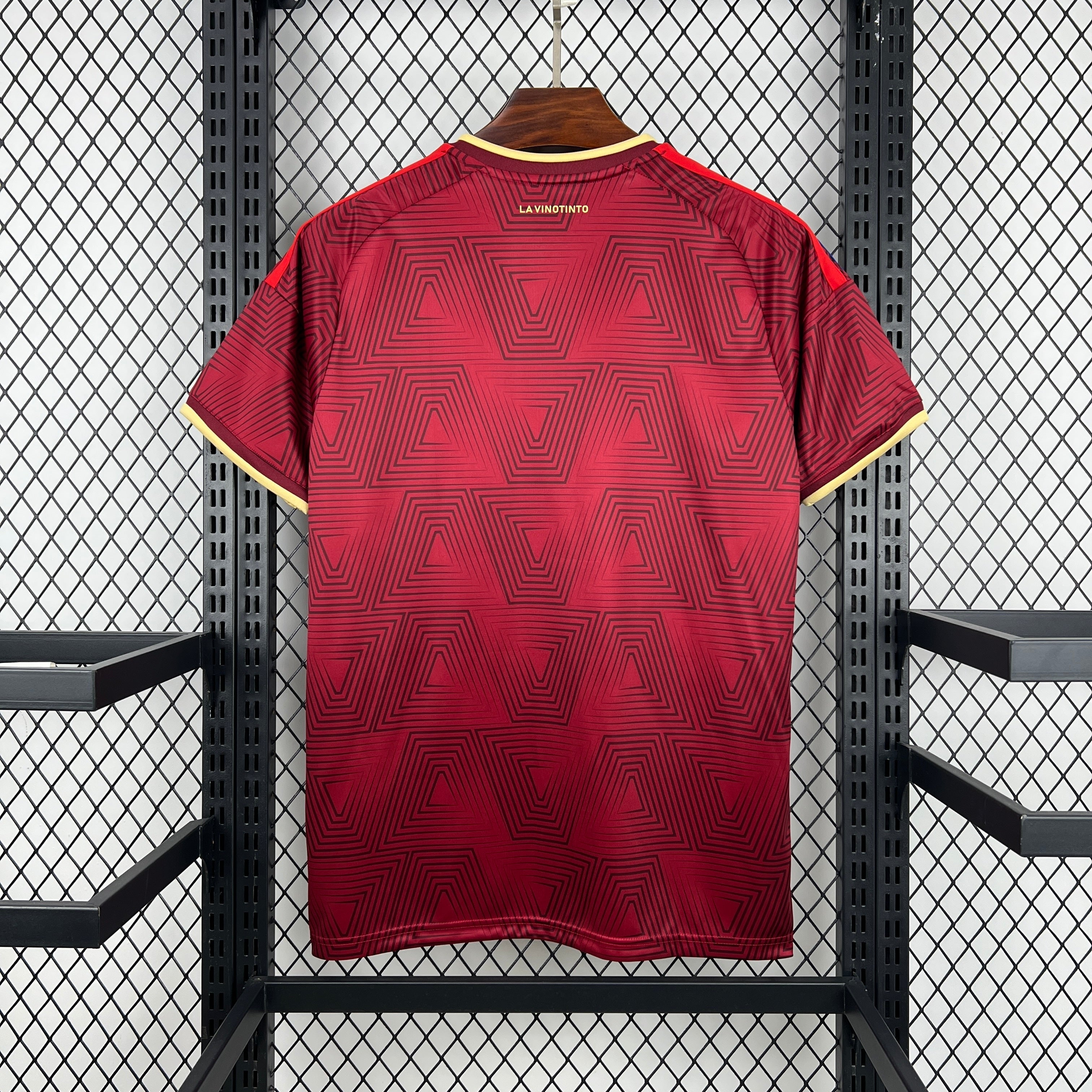 Venezuela 2026 Home - Fan Version