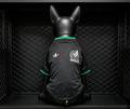 Mexico 2026 Away - Dog Kit