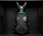 Mexico 2026 Away - Dog Kit