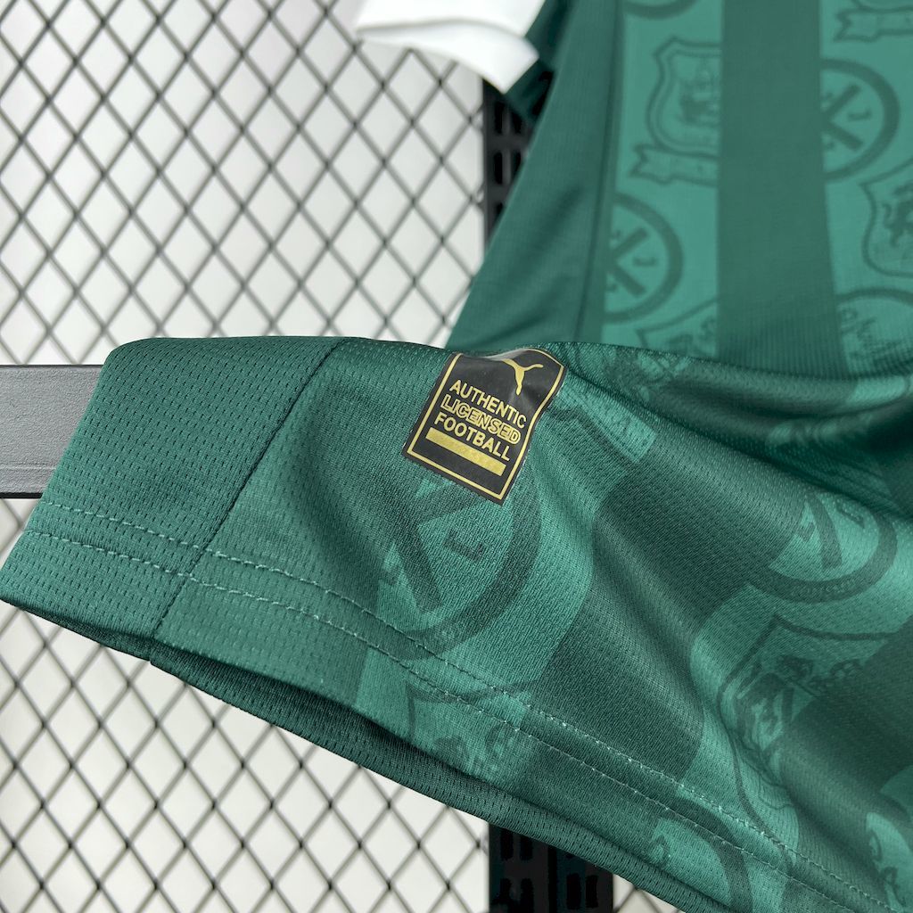 Plymouth Argyle 2025/26 Home - Fan Version