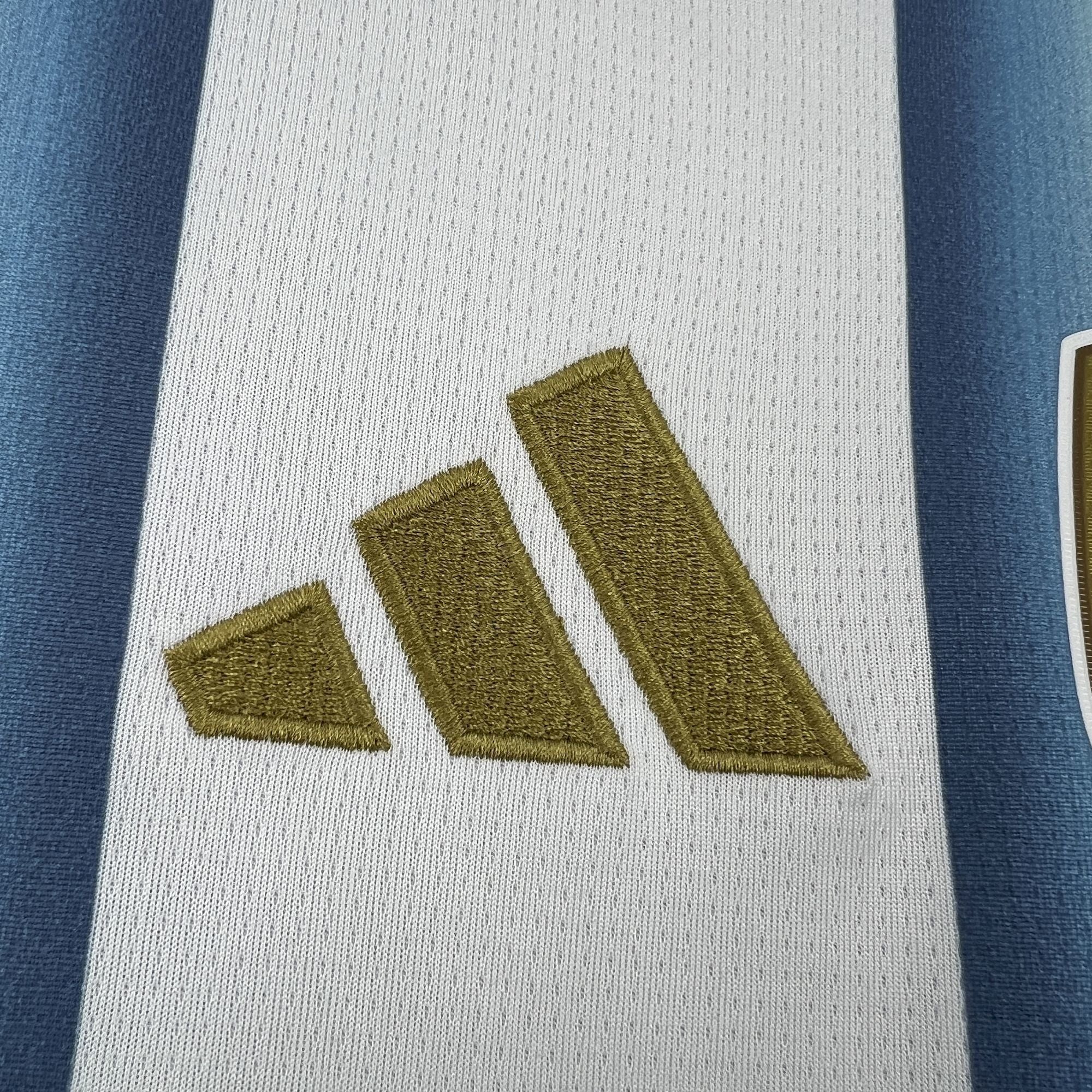 Argentina 2026 Home - Fan Version