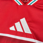 Wales 2026 Home - Fan Version