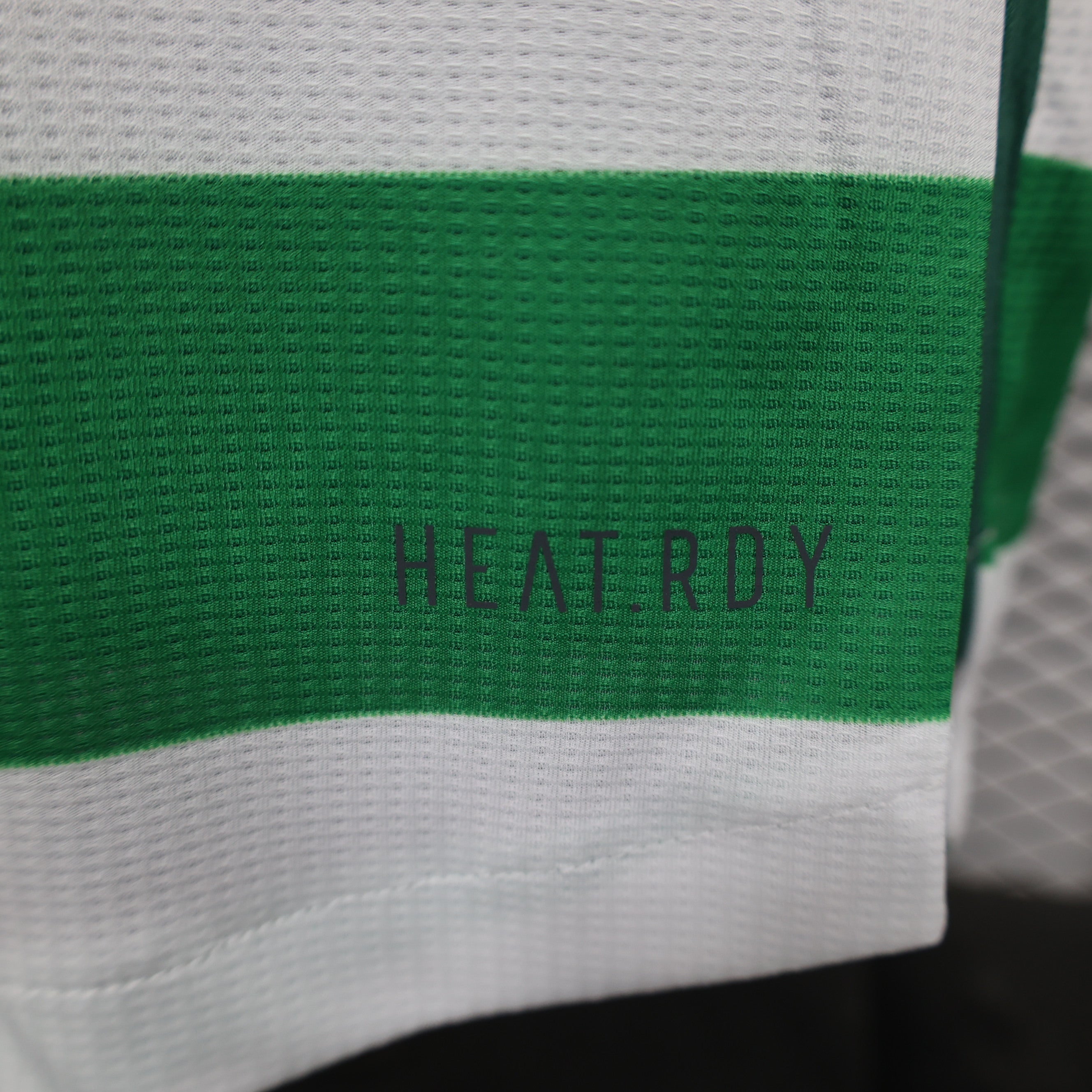 Celtic FC 2024/25 Home - Player Version