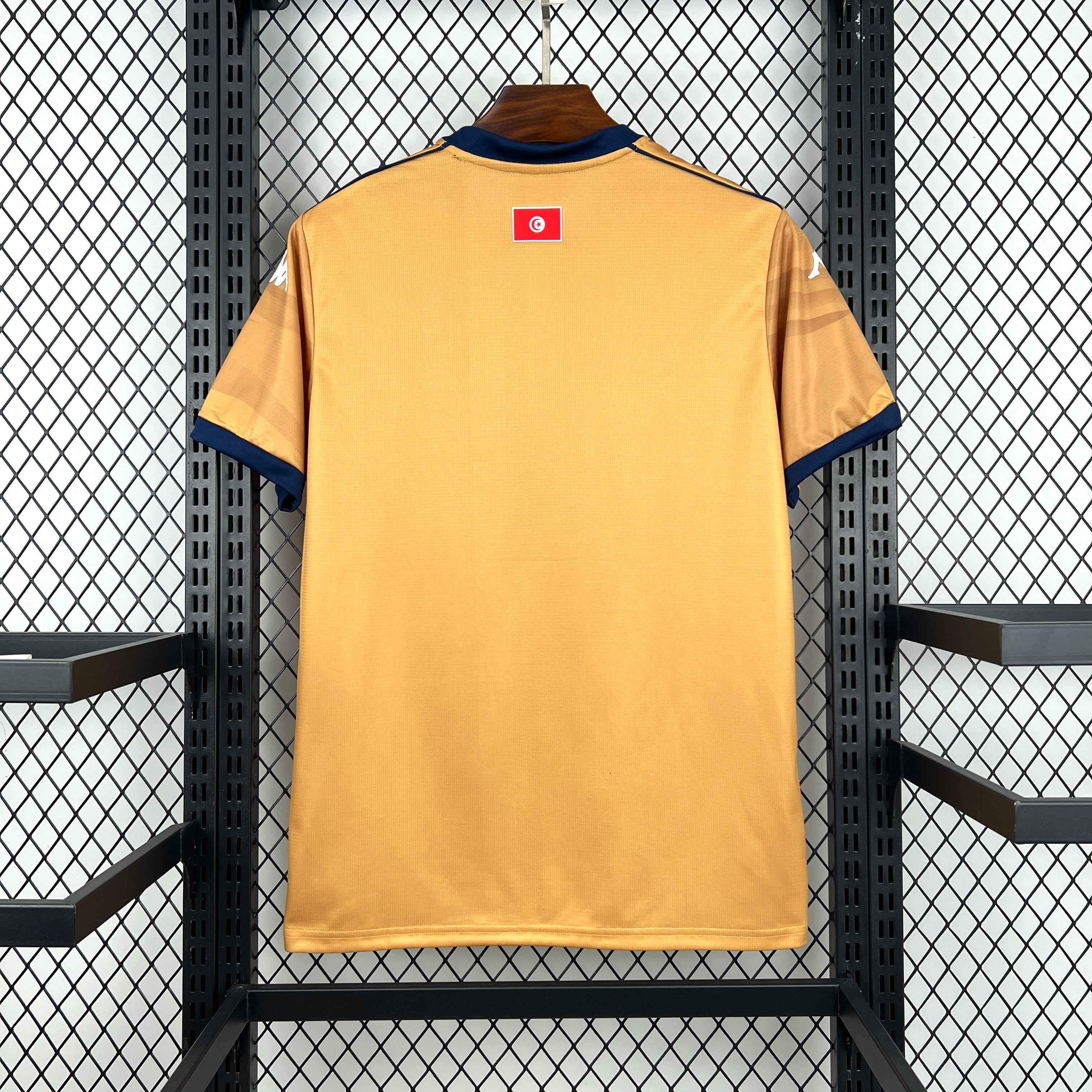 Tunisia 2026 Third - Fan Version