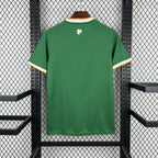 Republic of Ireland 2026 Home - Fan Version