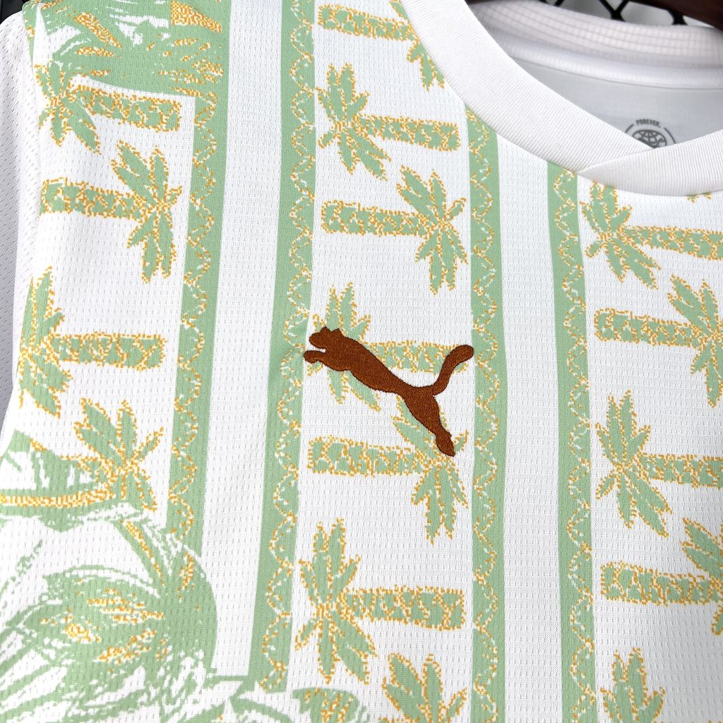 Ivory Coast 2026 Away - Fan Version