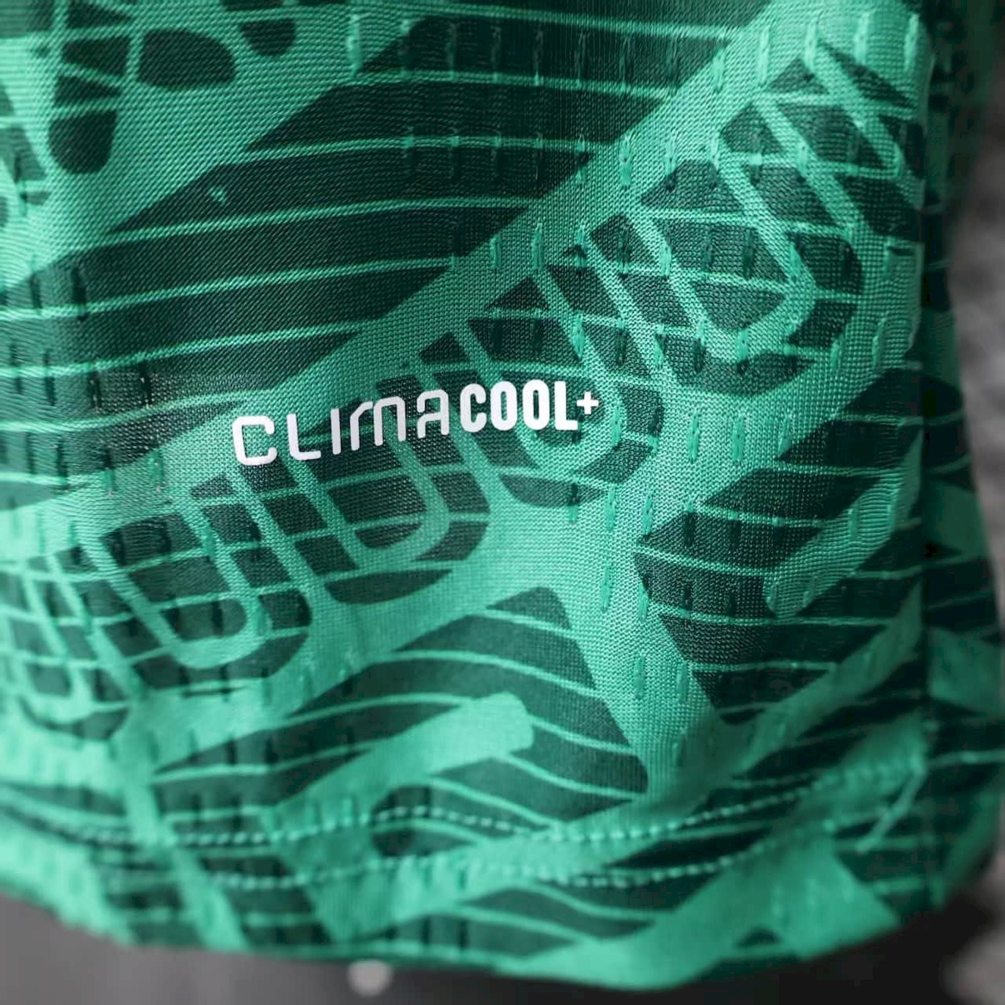 Mexico 2026 Home - Player Version