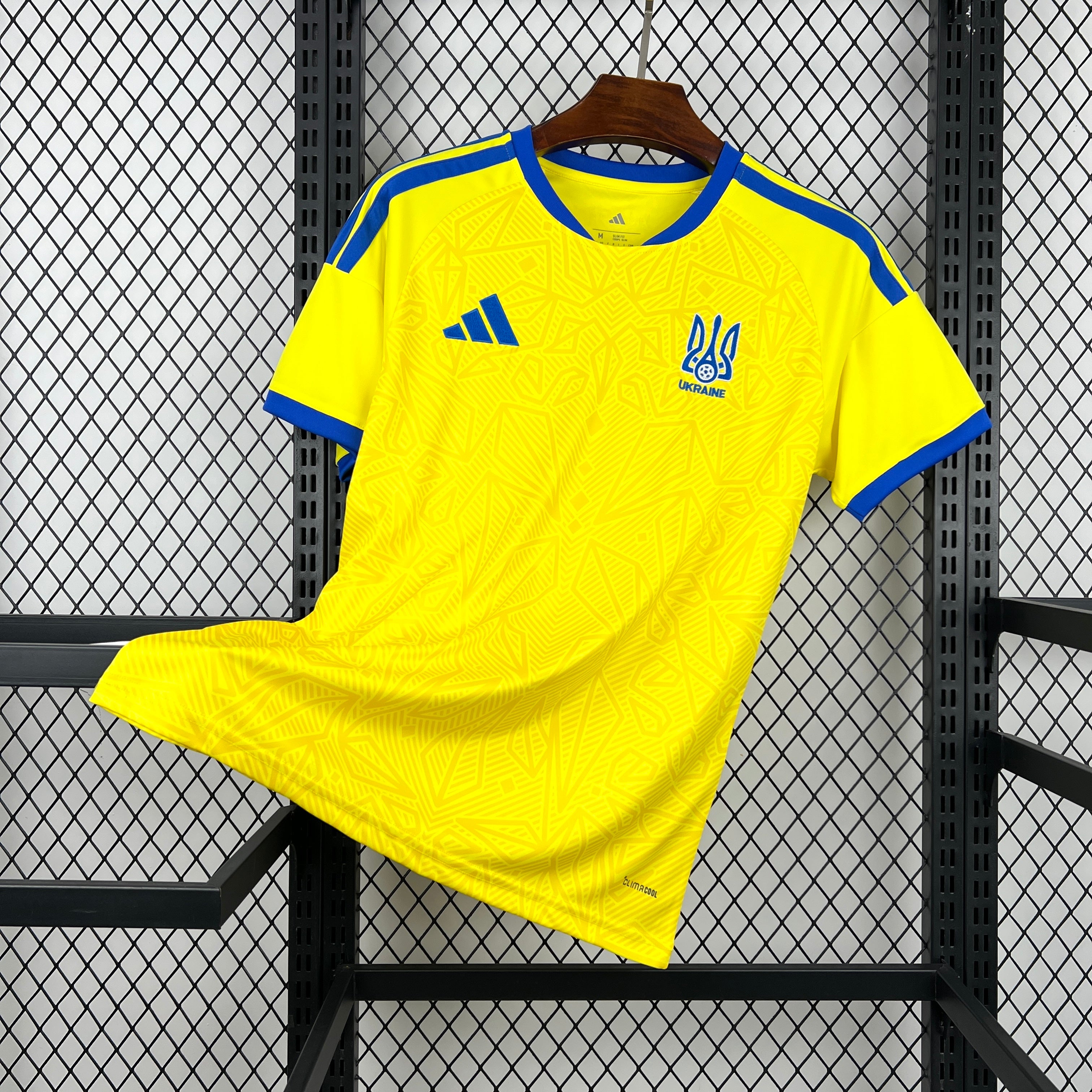 Ukraine 2026 Home - Fan Version