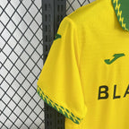 Norwich City 2025/26 Home - Fan Version