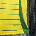 Celtic FC 2024/25 Away - Fan Version
