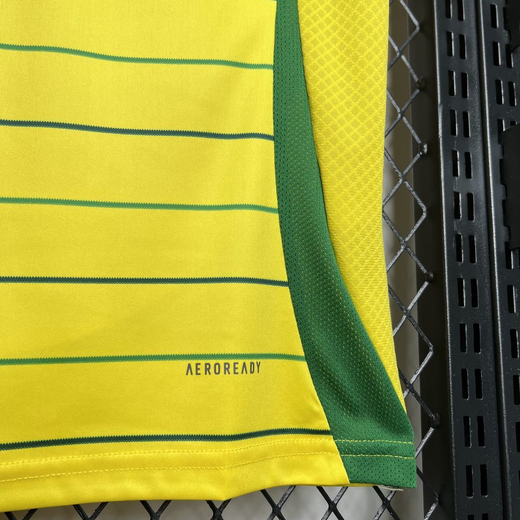 Celtic FC 2024/25 Away - Fan Version
