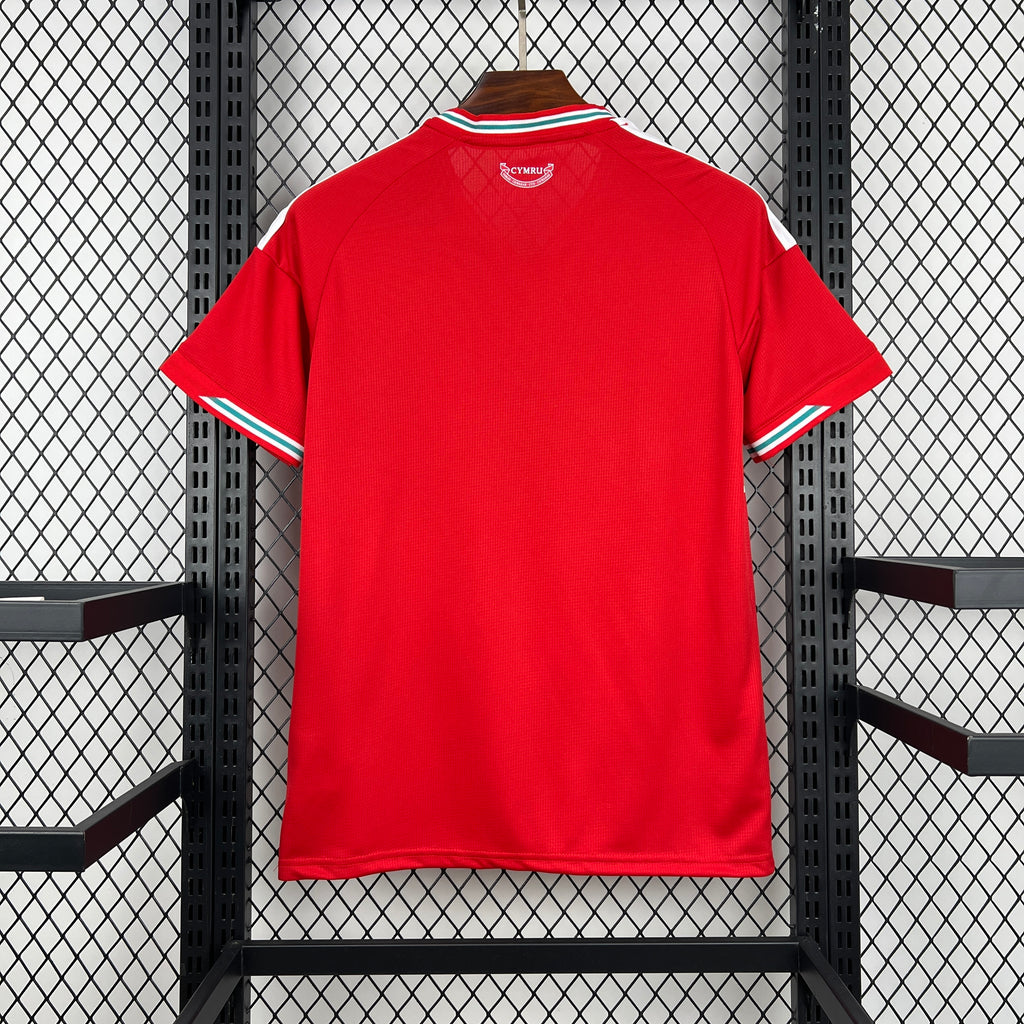 Wales 2026 Home - Fan Version
