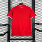 Wales 2026 Home - Fan Version