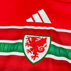 Wales 2026 Home - Fan Version
