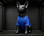 Brazil 2026 Away - Dog Kit