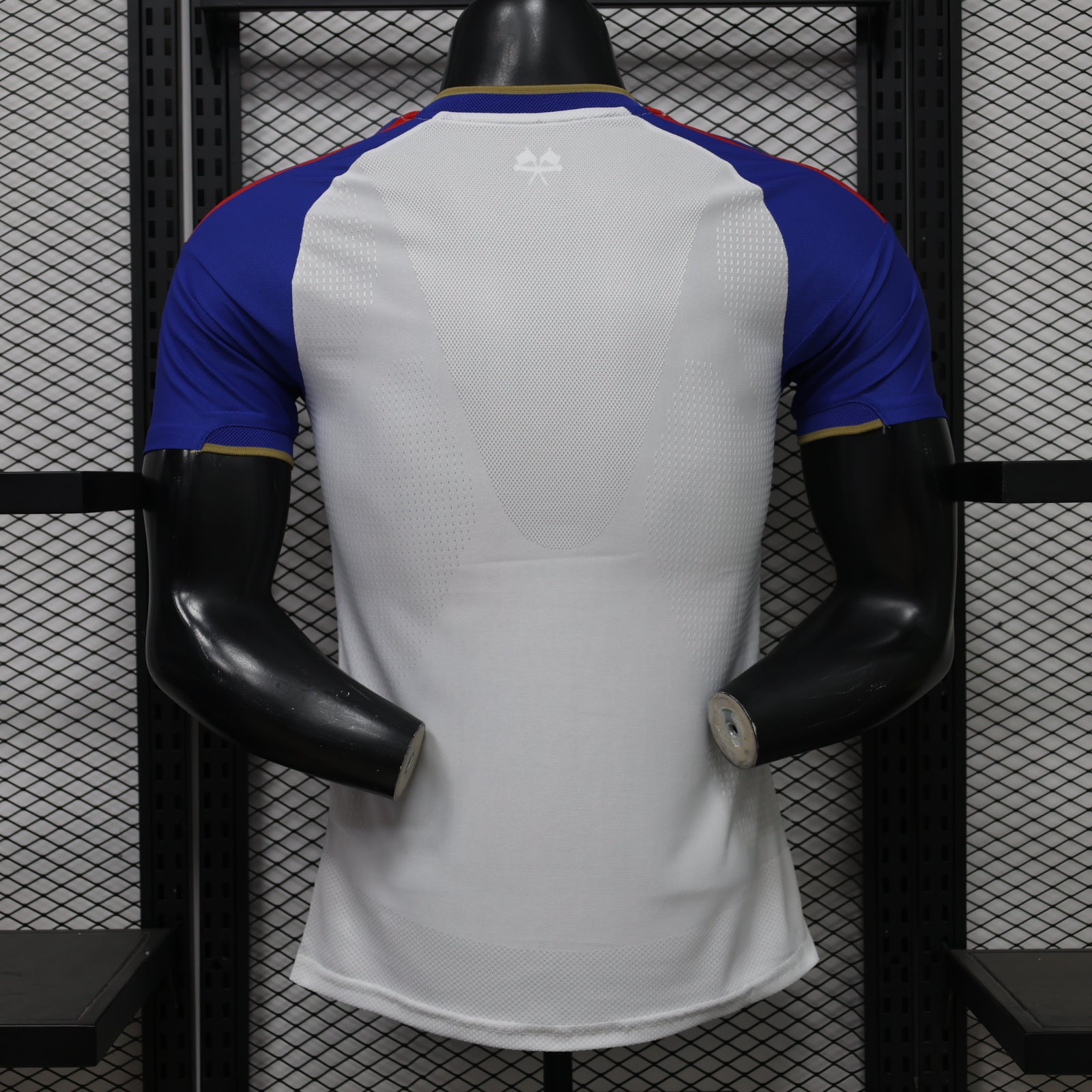 Lyon 2026/27 Home - Player Version