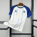 Bosnia and Herzegovina 2026 Away - Fan Version