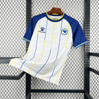 Bosnia and Herzegovina 2026 Away - Fan Version