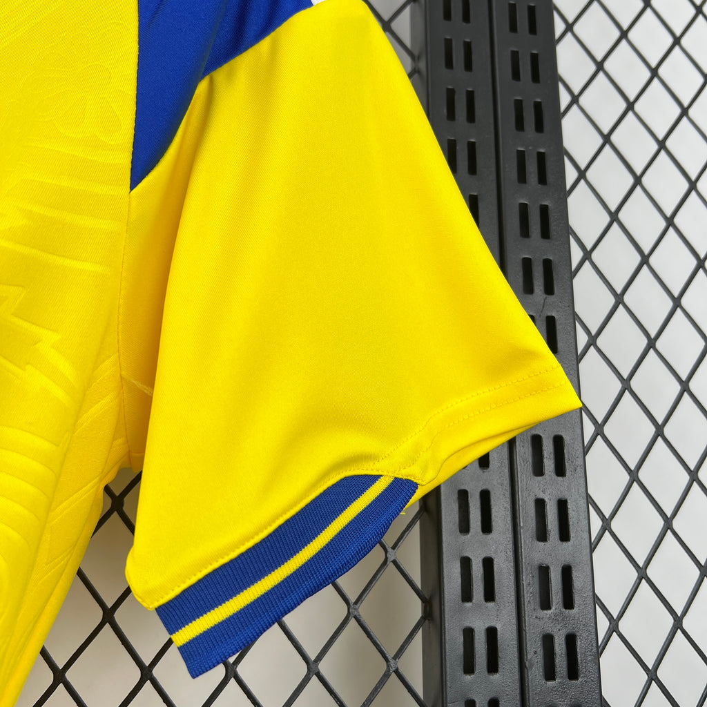 Sweden 2026 Home - Fan Version