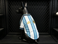Argentina 2026 Home - Dog Kit
