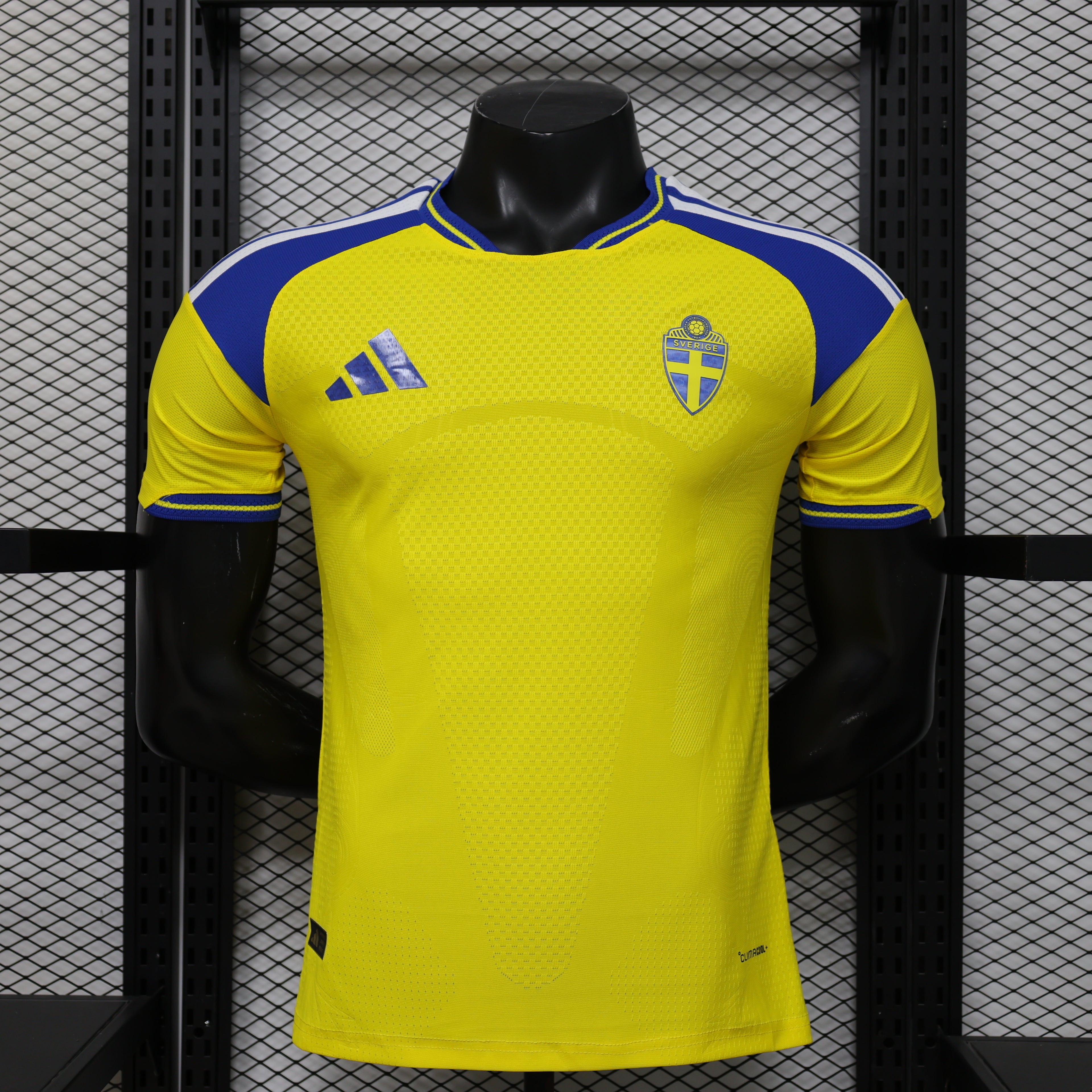 Sweden 2026 Home - Player Version