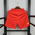Spain 2026 Home Change - Fan Shorts
