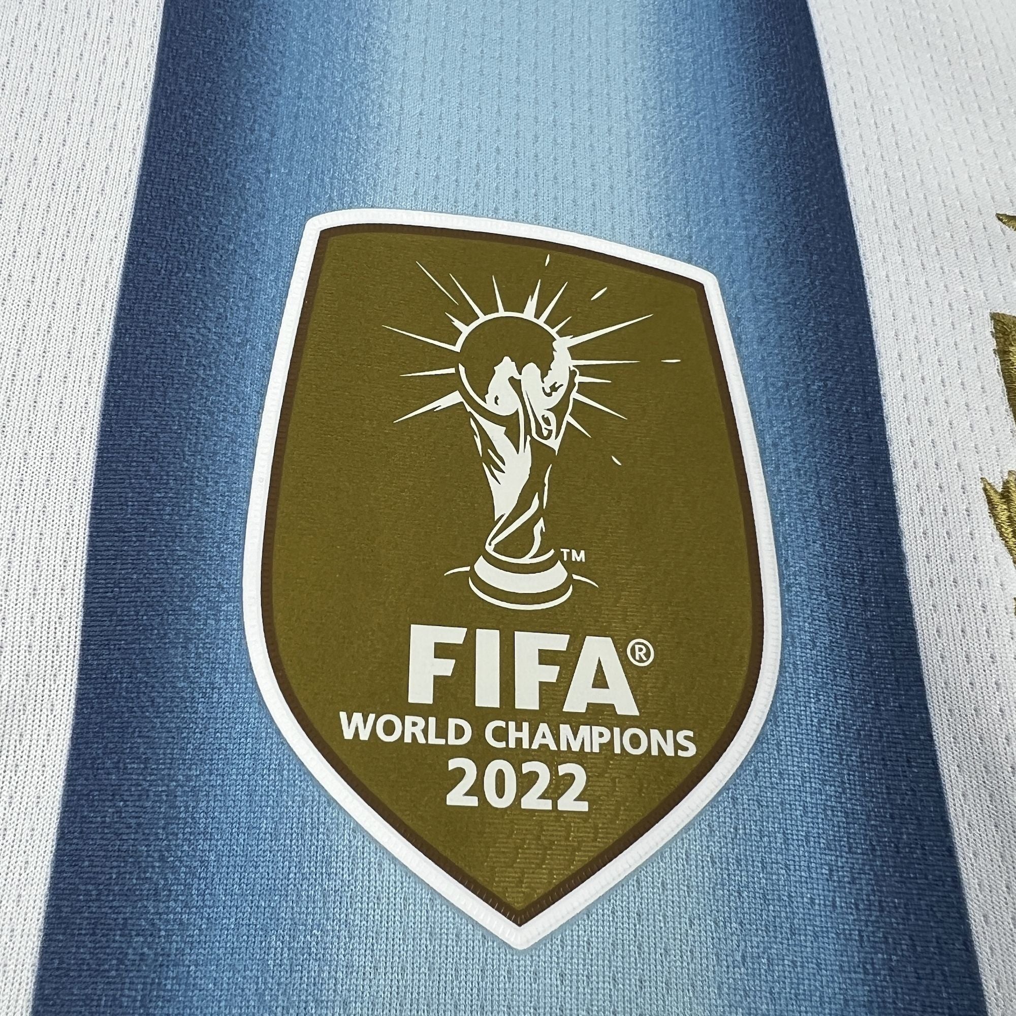 Argentina 2026 Home - Fan Version