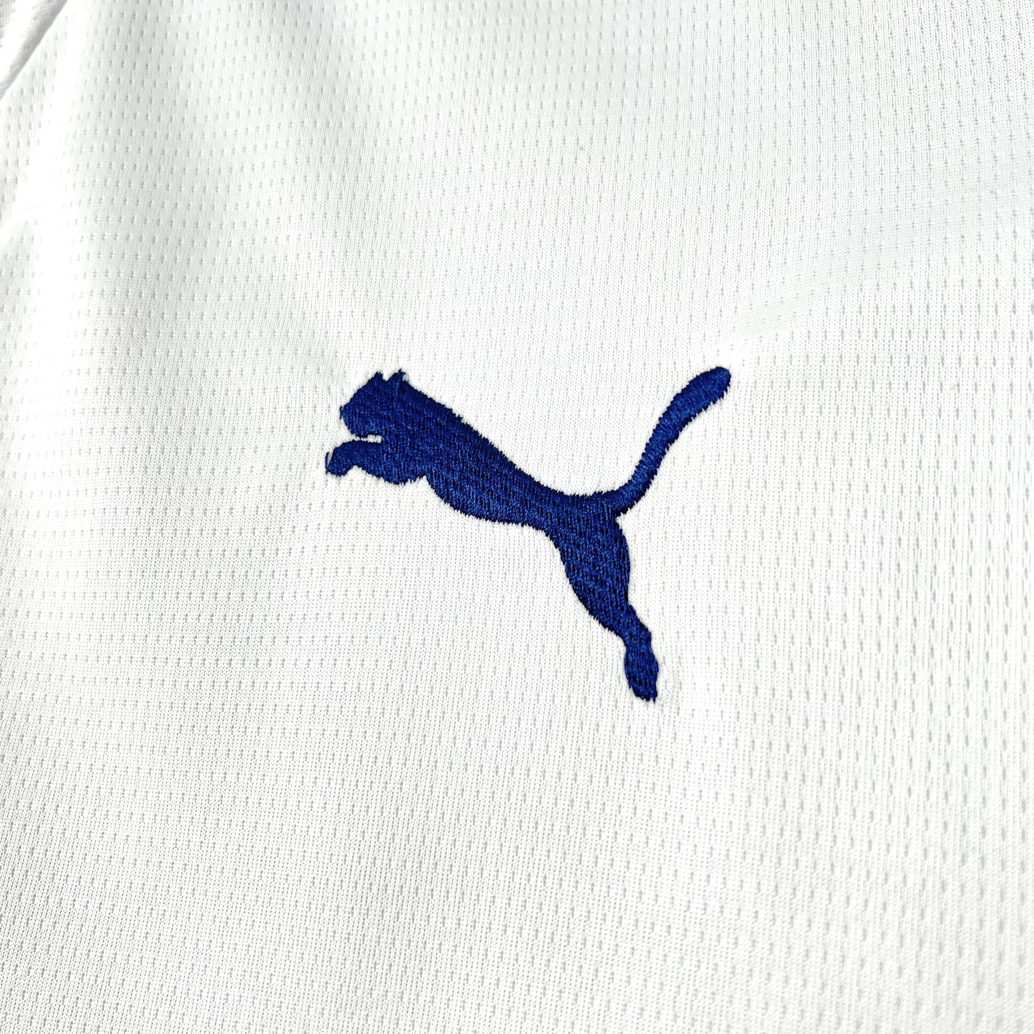 Bahia 2026/27 Home - Fan Version