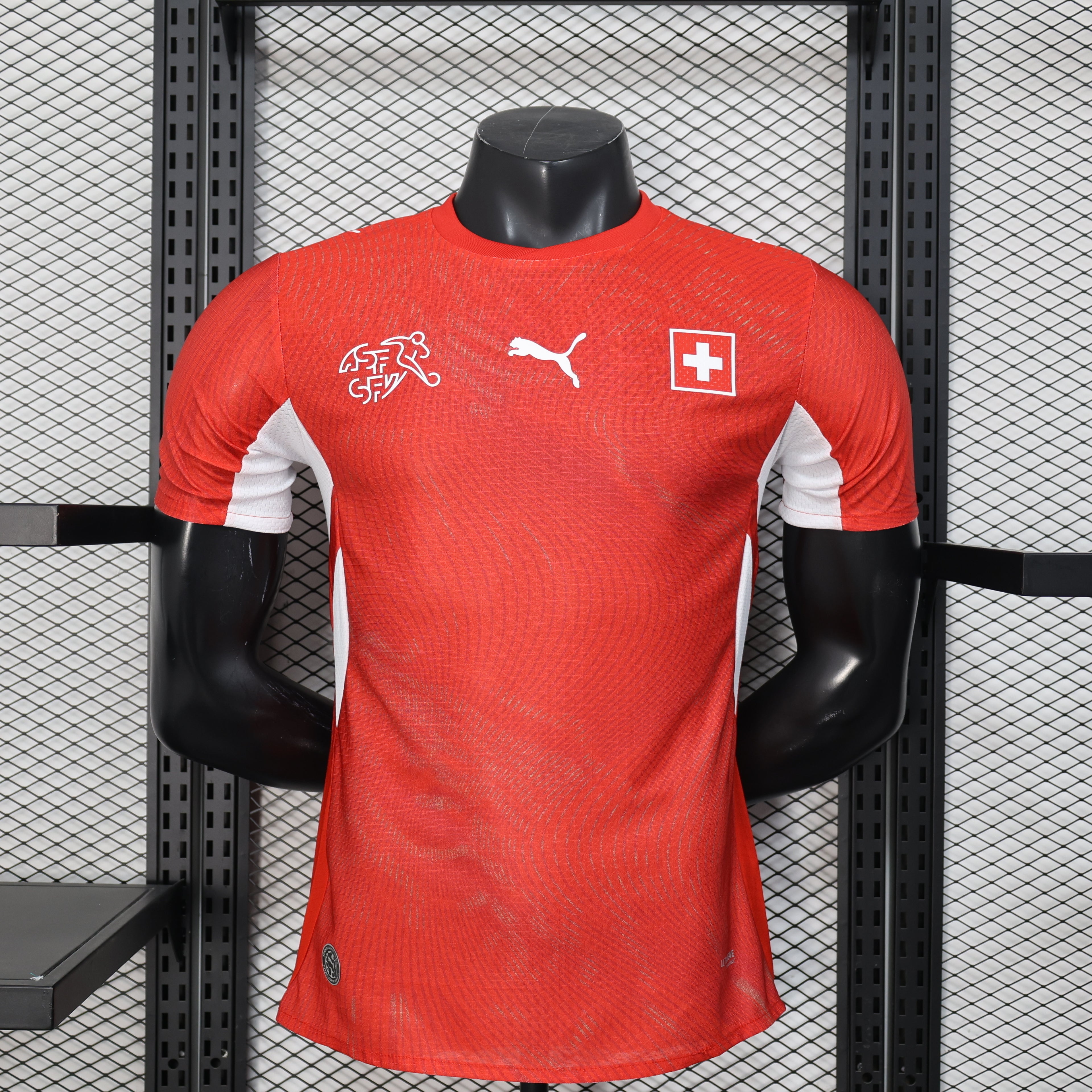 Switzerland 2026 Home - Player Version