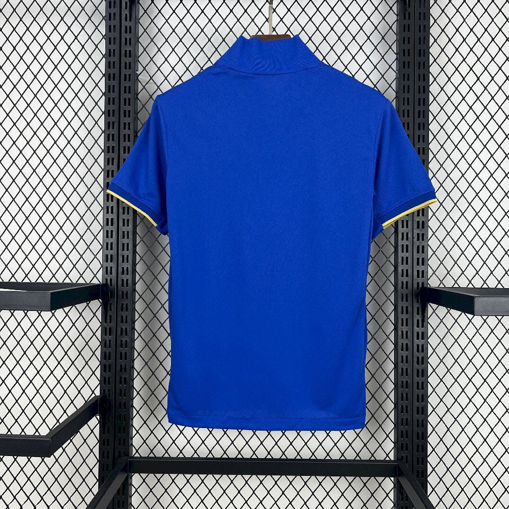 Birmingham City 2025/26 Home - Fan Version