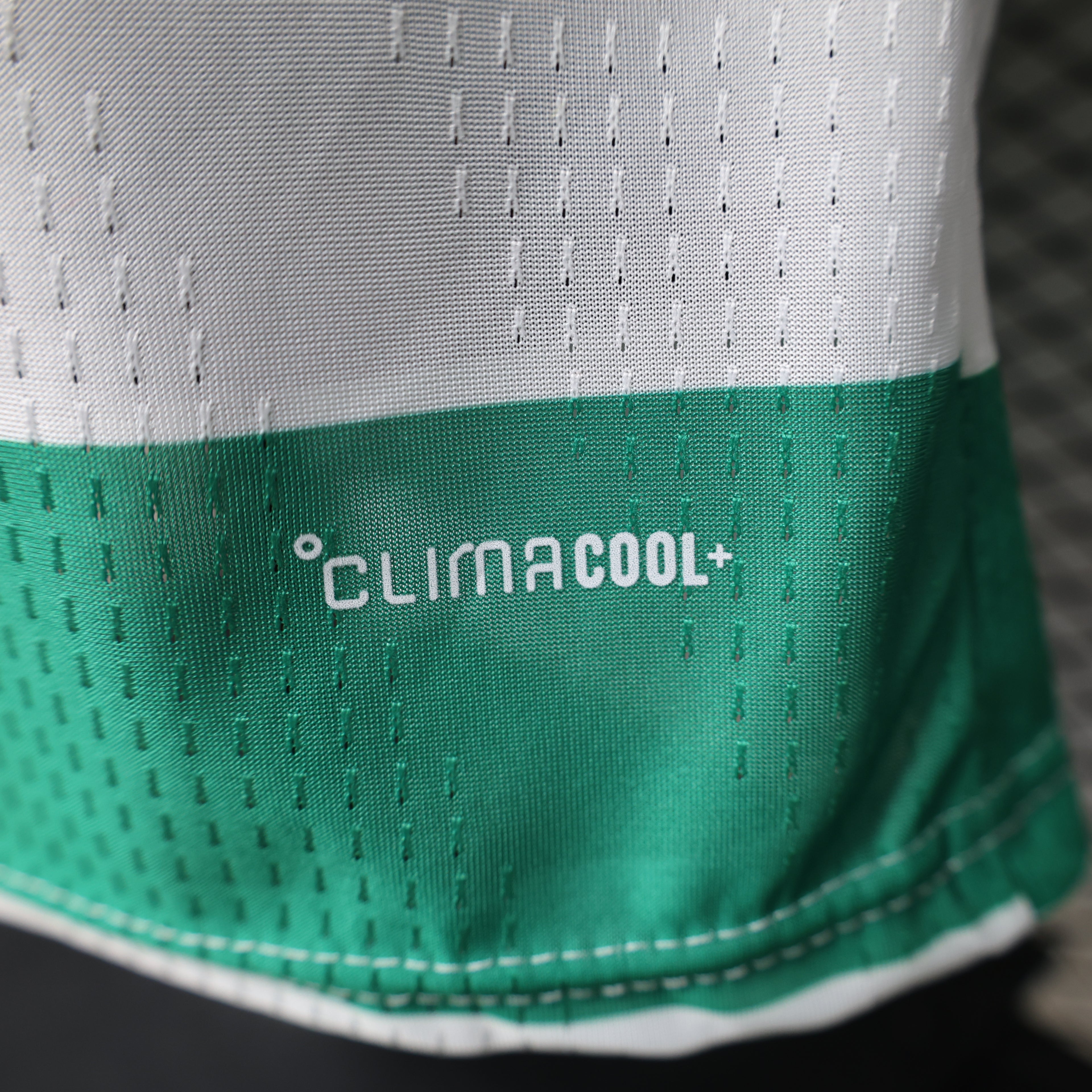 Celtic FC 2026/27 Home - Player Version