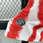Paraguay 2026 Home - Fan Version