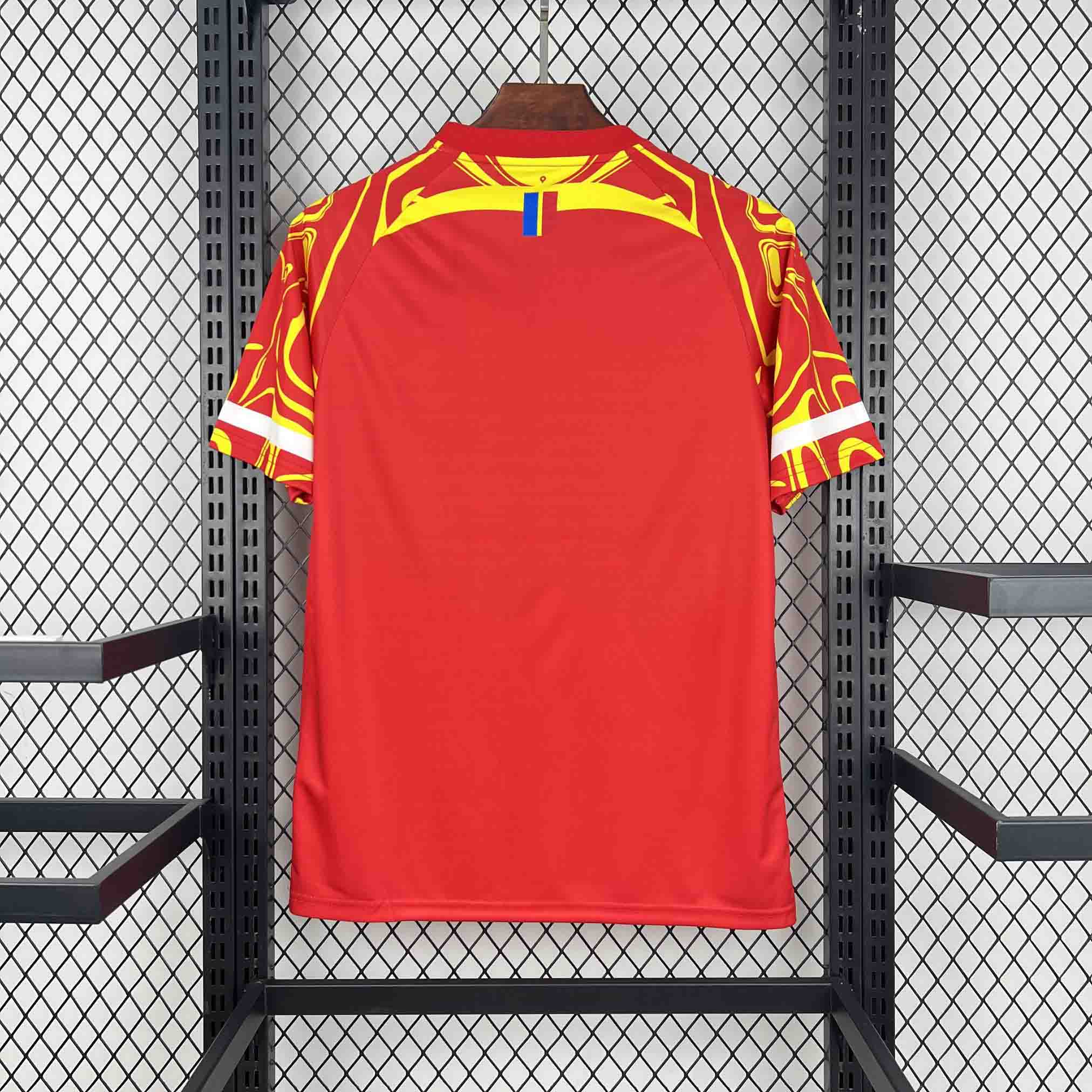 Congo 2026 Third - Fan Version