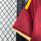 Venezuela 2026 Home - Fan Version