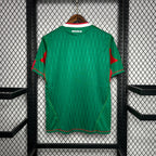Mexico 2010 Home - Retro
