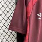 CA Lanus 2025 Home - Fan Version