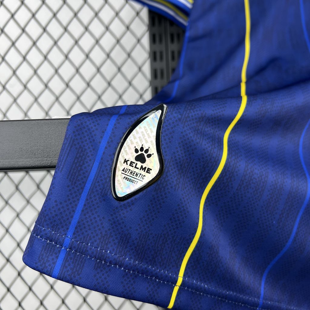 Bosnia and Herzegovina 2026 Home - Fan Version