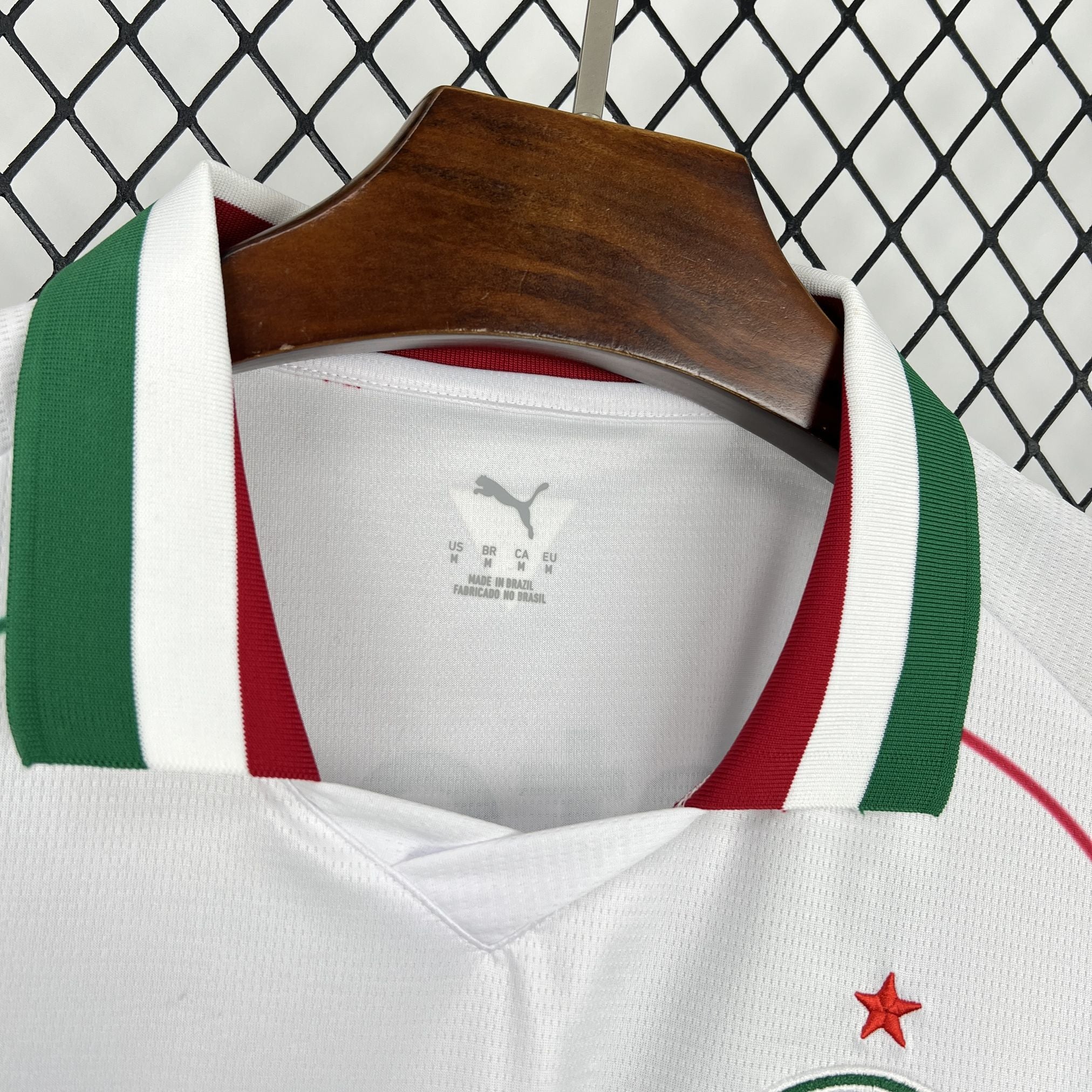Palmeiras 2026 Away - Fan Version