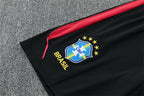 Brazil 2026/27 Black Red Training Set (Adult + Kids Sizes)