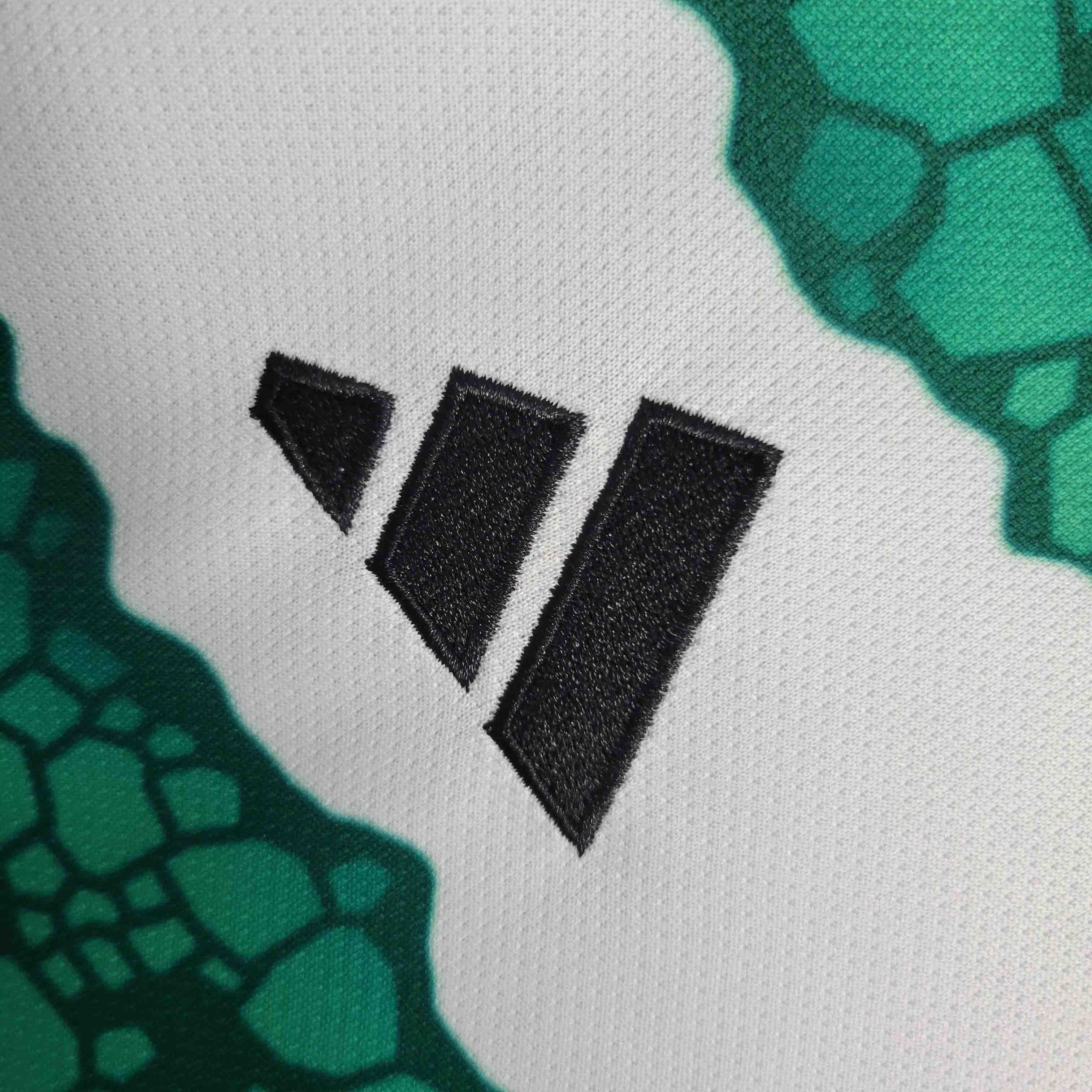 Celtic FC 2023/24 Home - Fan Version