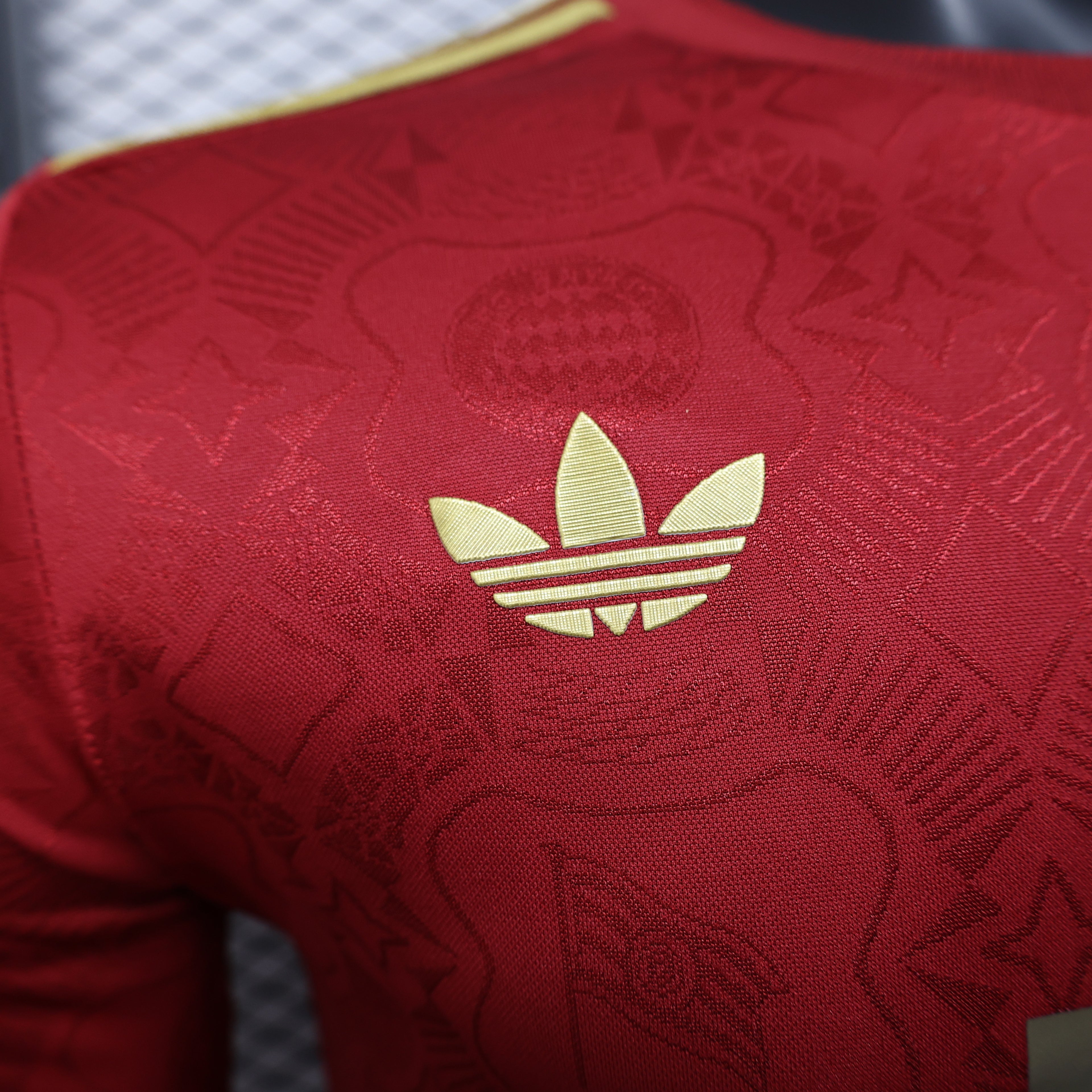 Bayern Munich 2024/25 125th Anniversary Long Sleeve - Player Version