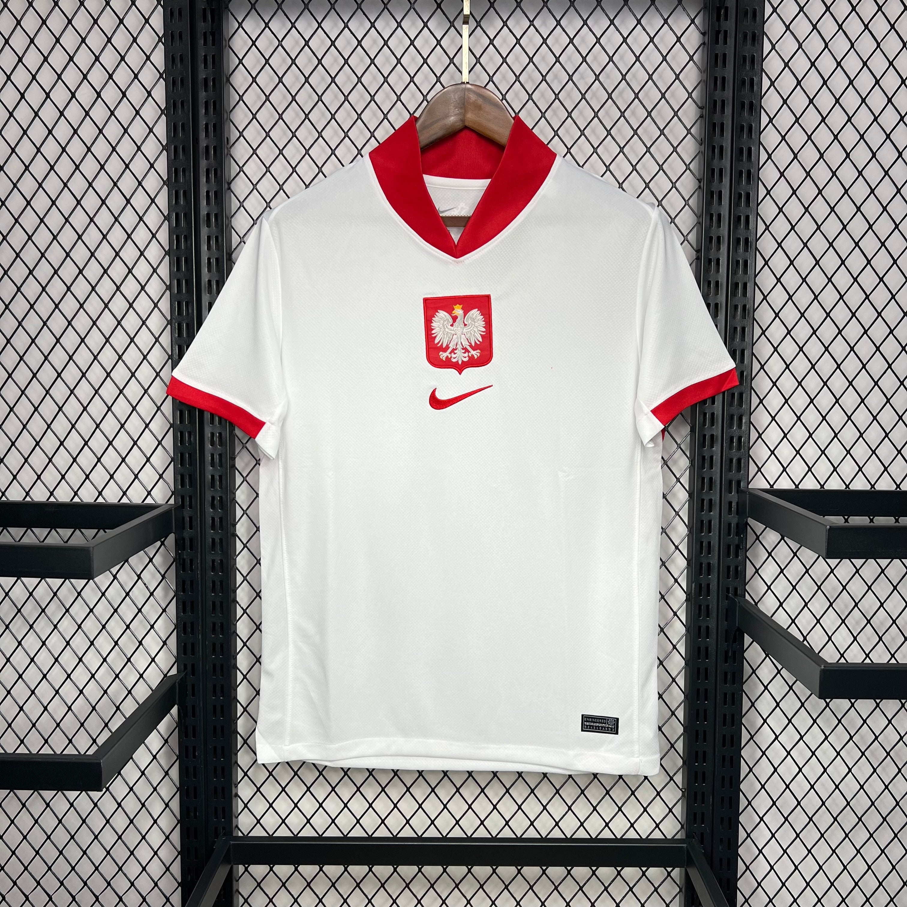 Poland 2024 Home - Fan Version