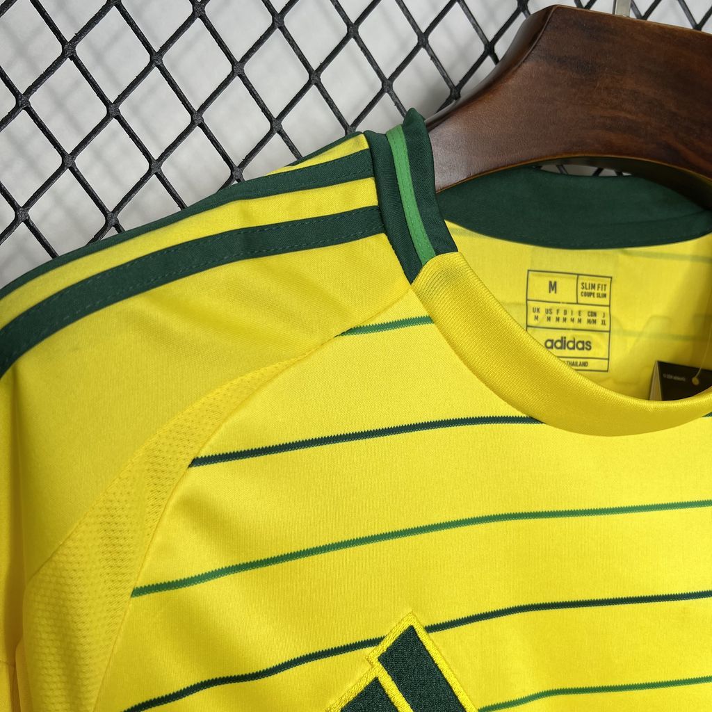 Celtic FC 2024/25 Away - Fan Version