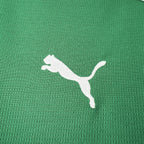 Palmeiras 2026 Home - Fan Version