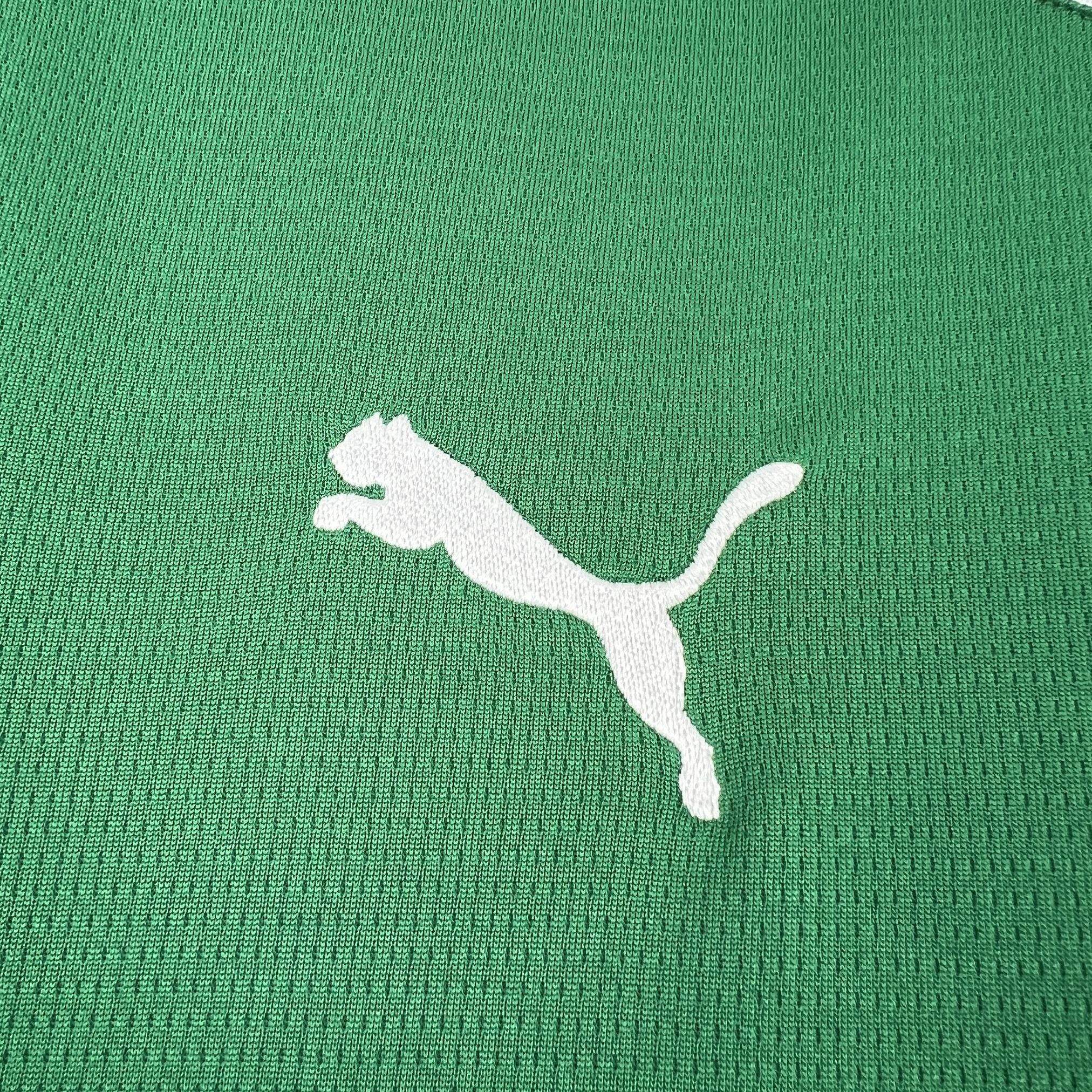 Palmeiras 2026 Home - Fan Version